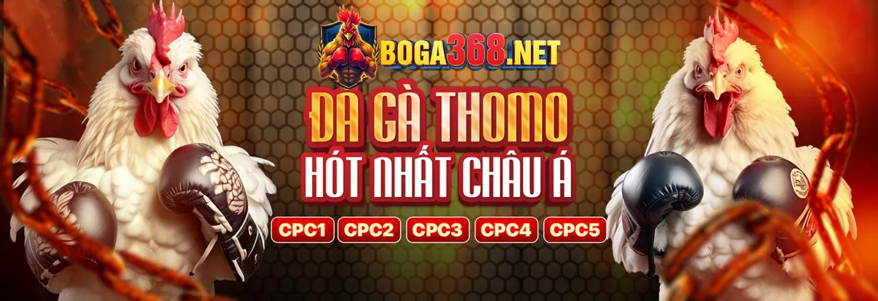 Sân đá gà trực tuyến zo88 nhà cái